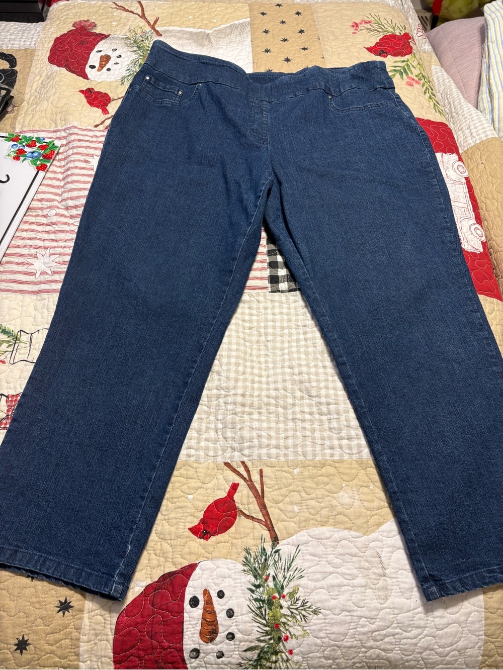 Ruby Rd. Plus Size pull on Blue Denim Jeans - Picture 2 of 5